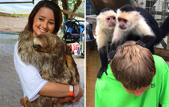 Monkey and Sloth Sanctuary Hangout Tour