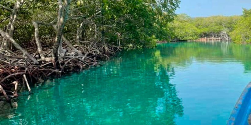 Roatan East Side Mangrove Tunnel Tour And Garifuna Village – 2ks ...